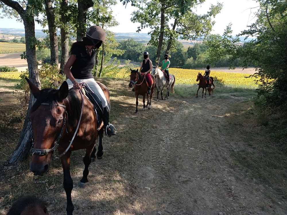 Chevaux d'En Belaval