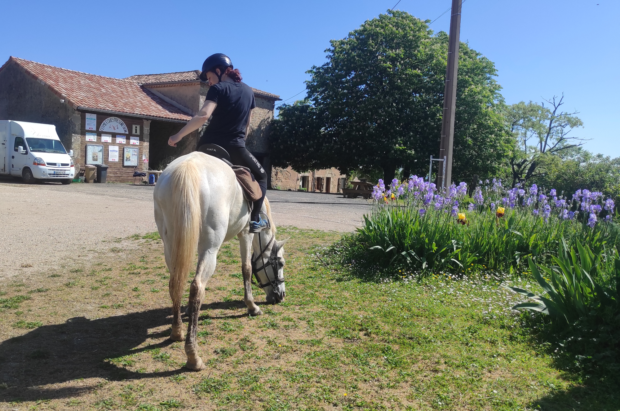 Gîte Equestre de la Grésigne