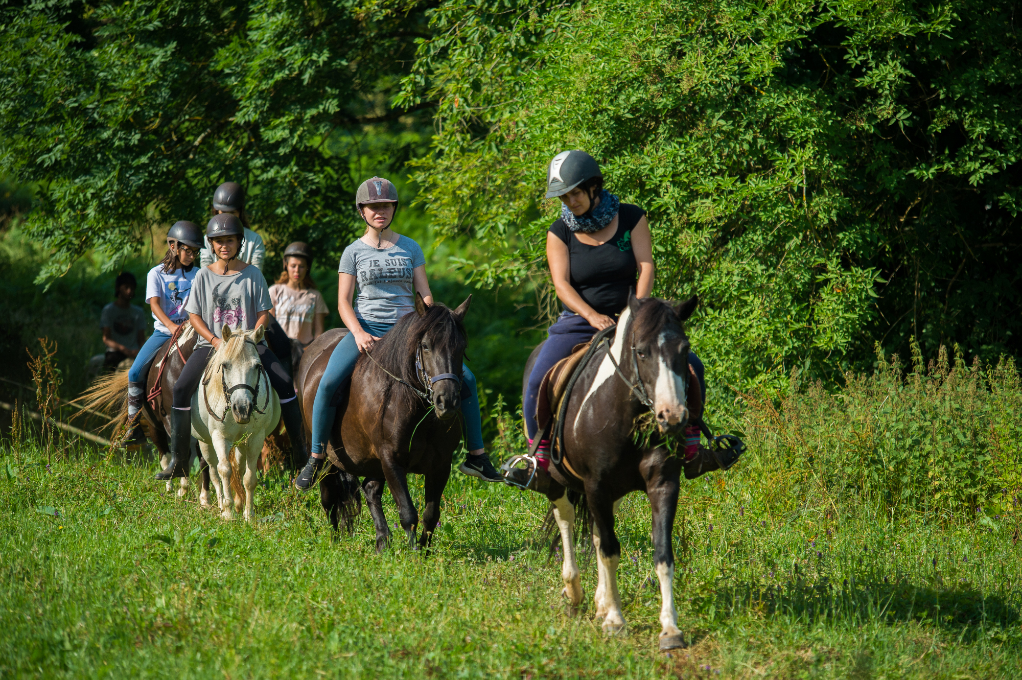 Au Fer à Cheval - séjours