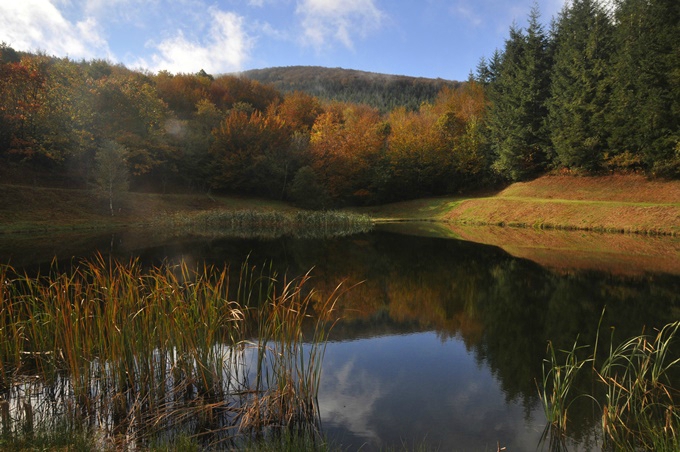 Connan Etang Carboneral