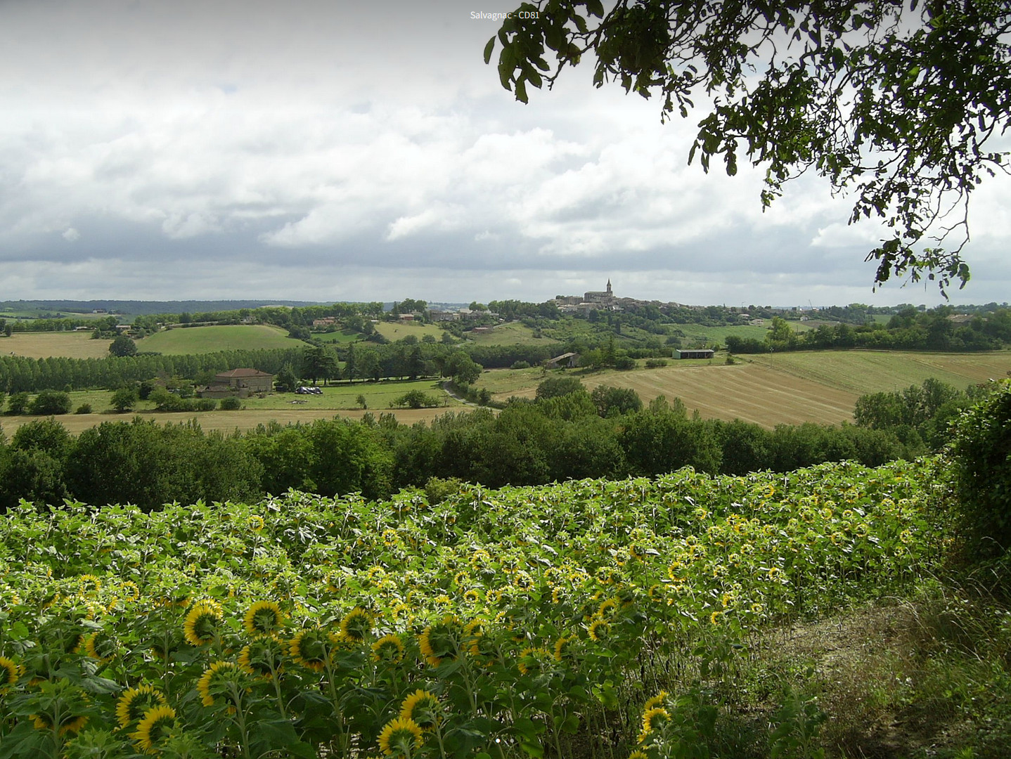 Le-Salvagnacois